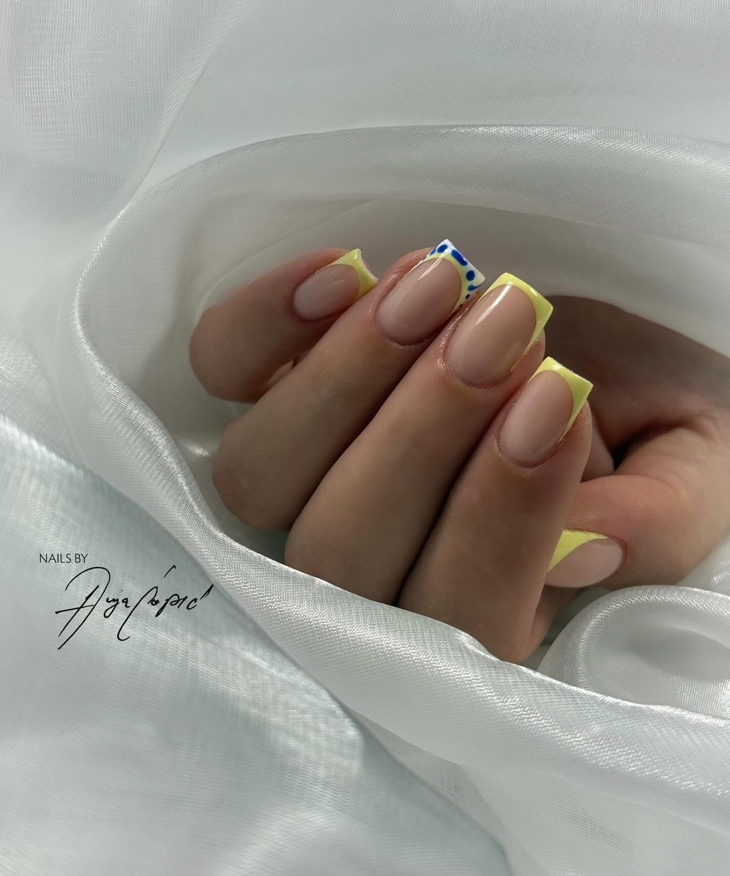 Portfolio Image